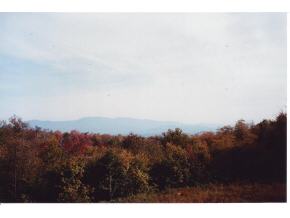  Thomas Pasture Rd