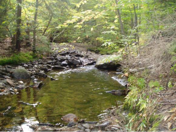 - Tranquility Lane