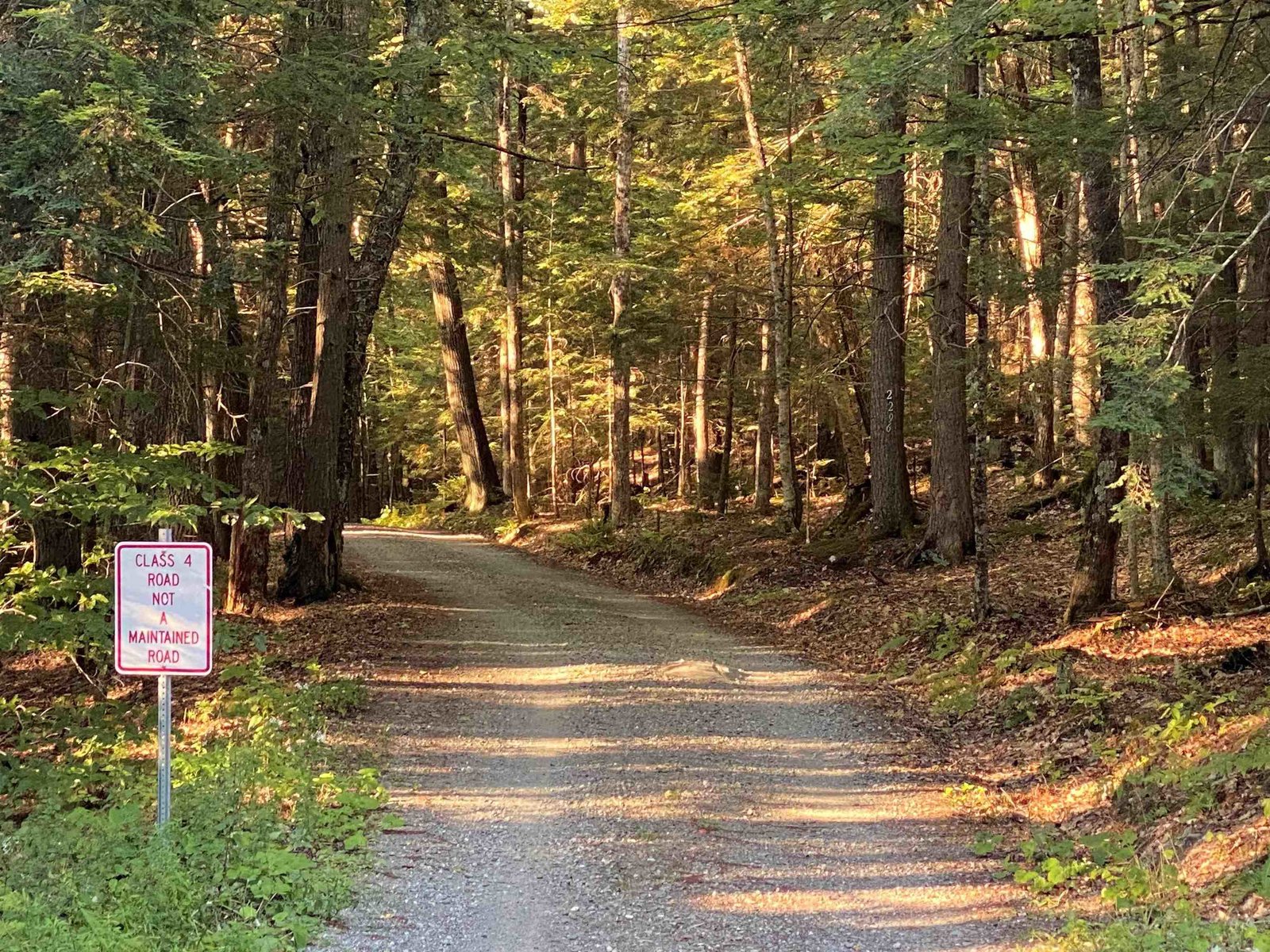  Turnpike Road South