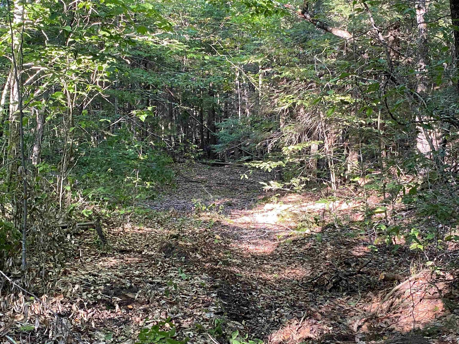  Turnpike Road South