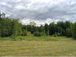  Twin Meadows Dr