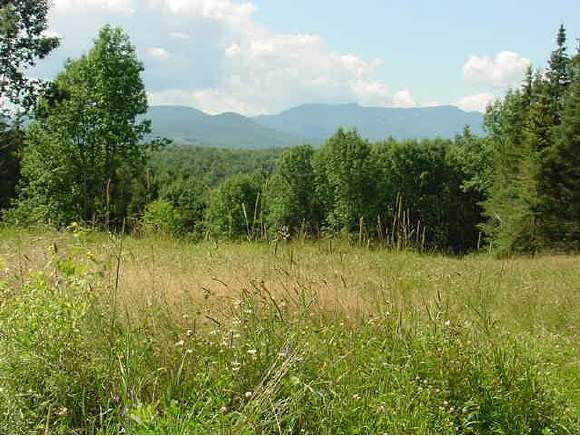  Upper Hollow Road