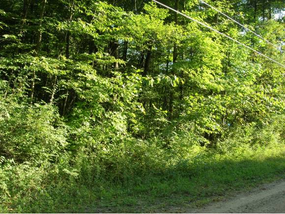 Upper Plains Road