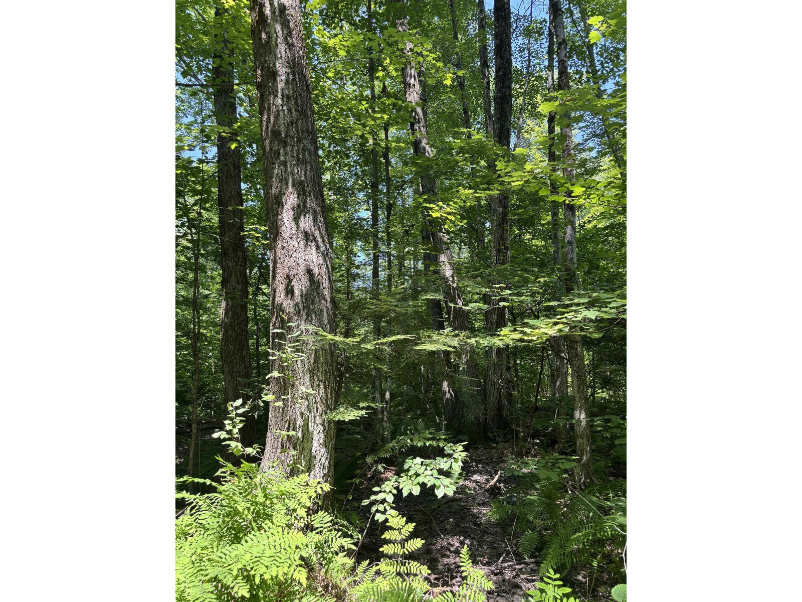  Upper Plains Road