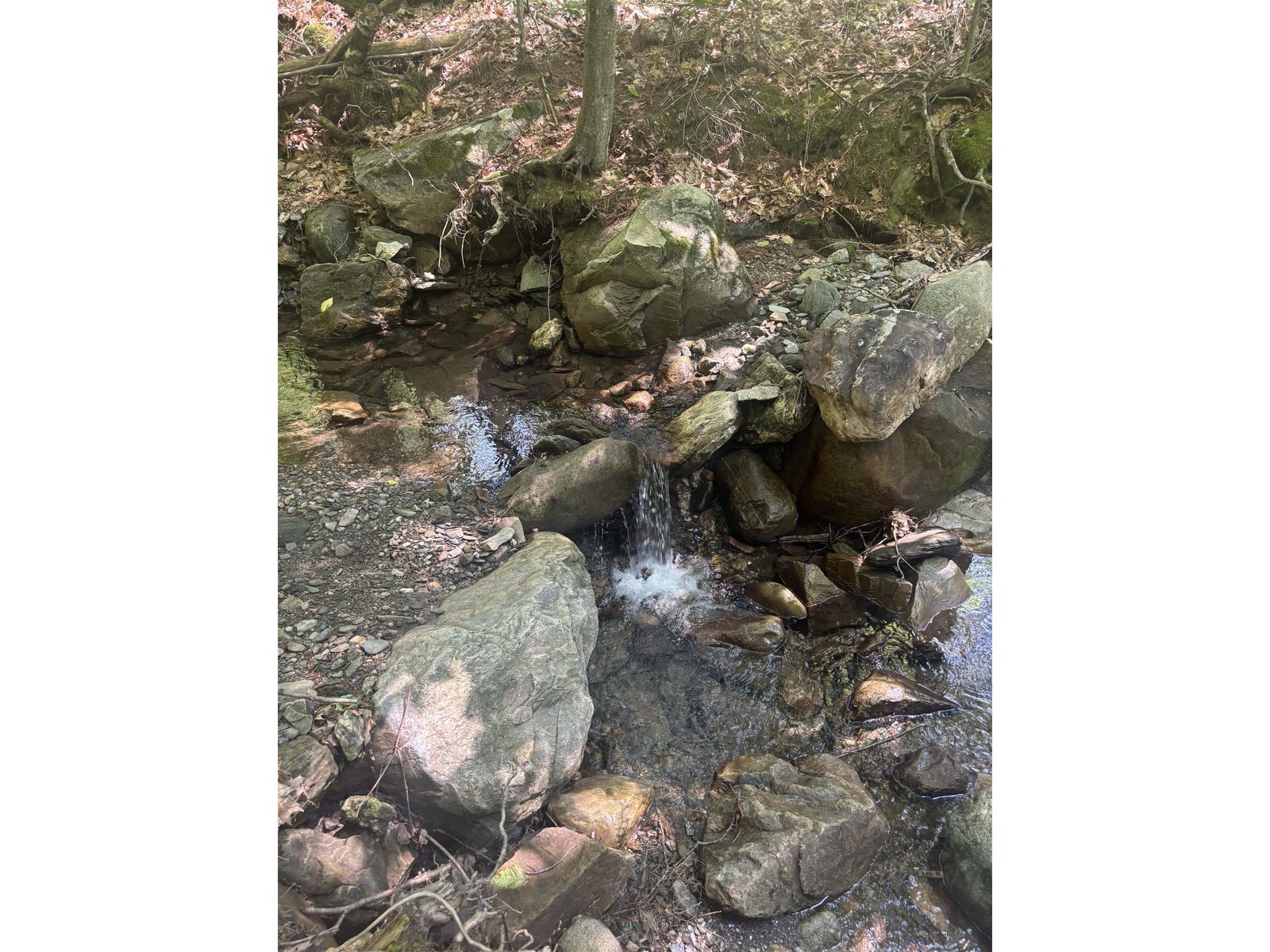Large Brook