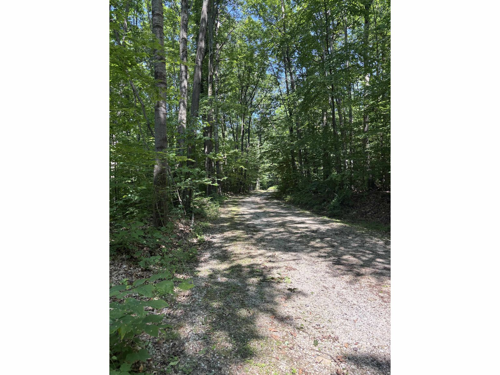 Shared Driveway