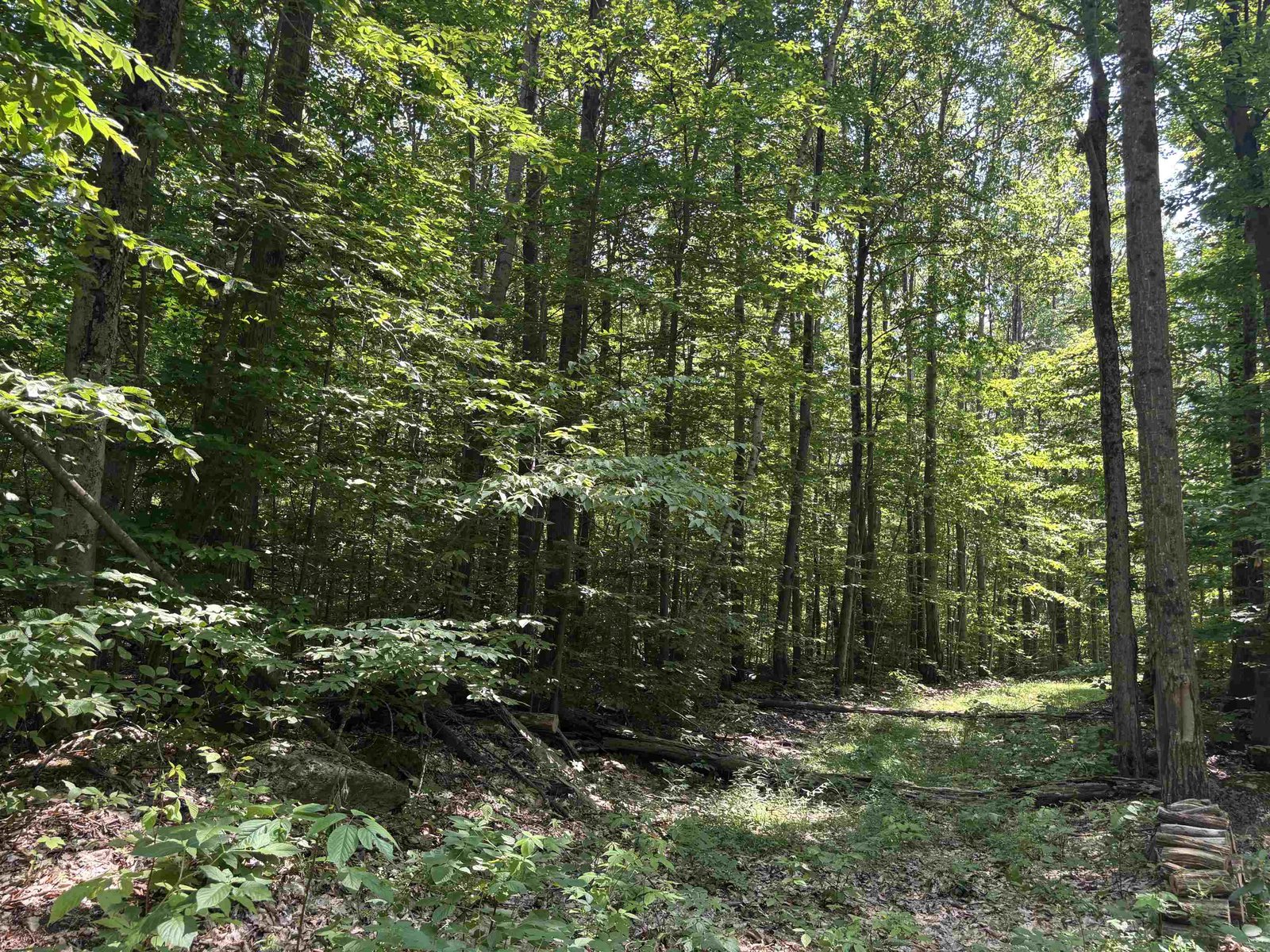 Old Trail