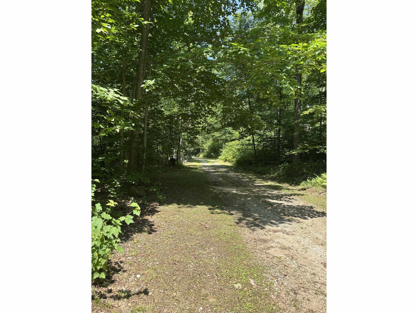 Shared Driveway