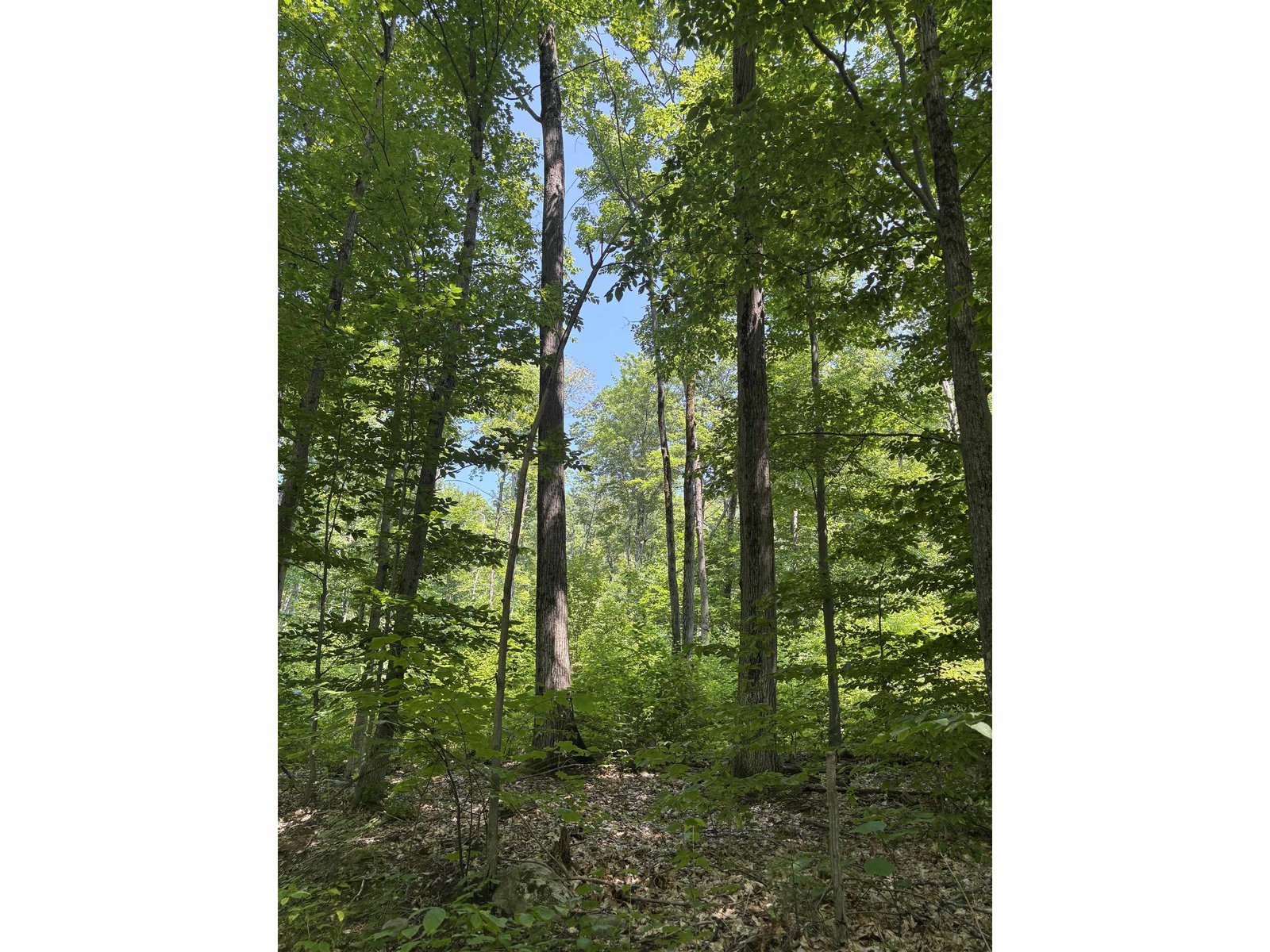 Upper Plains Road