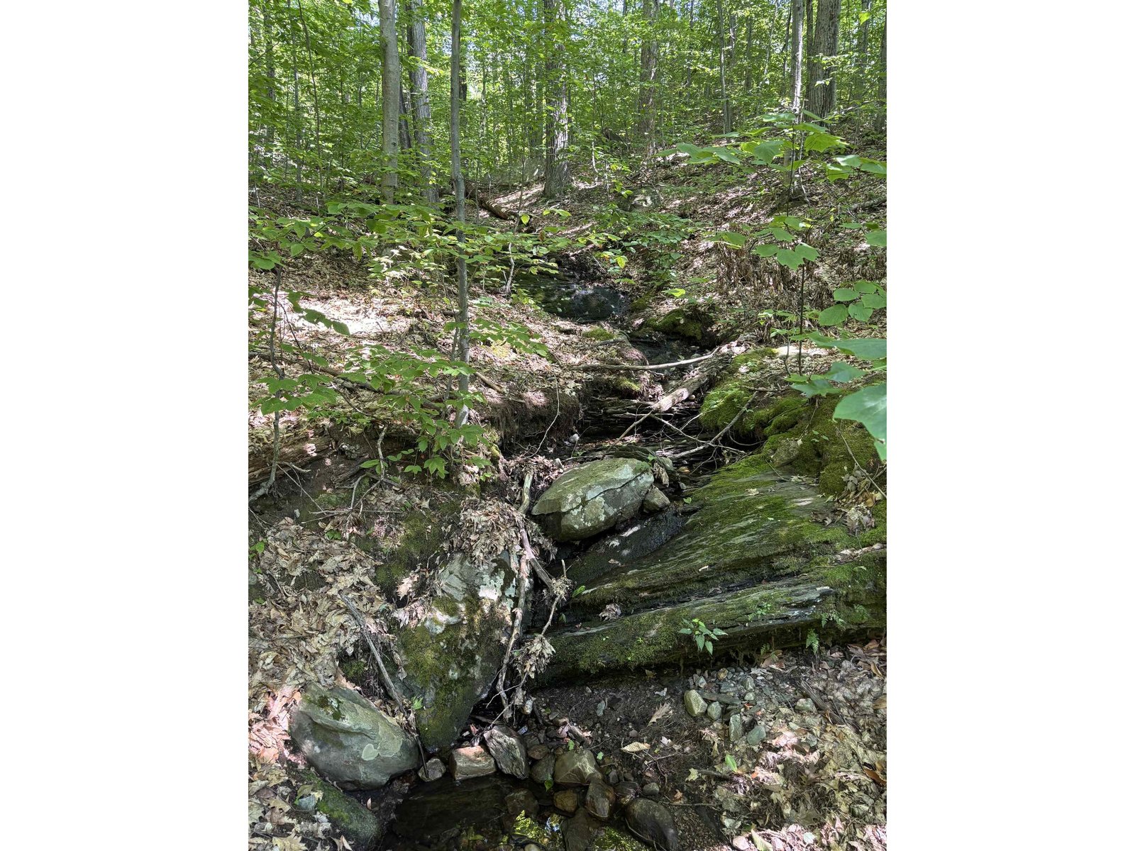 Small Brook