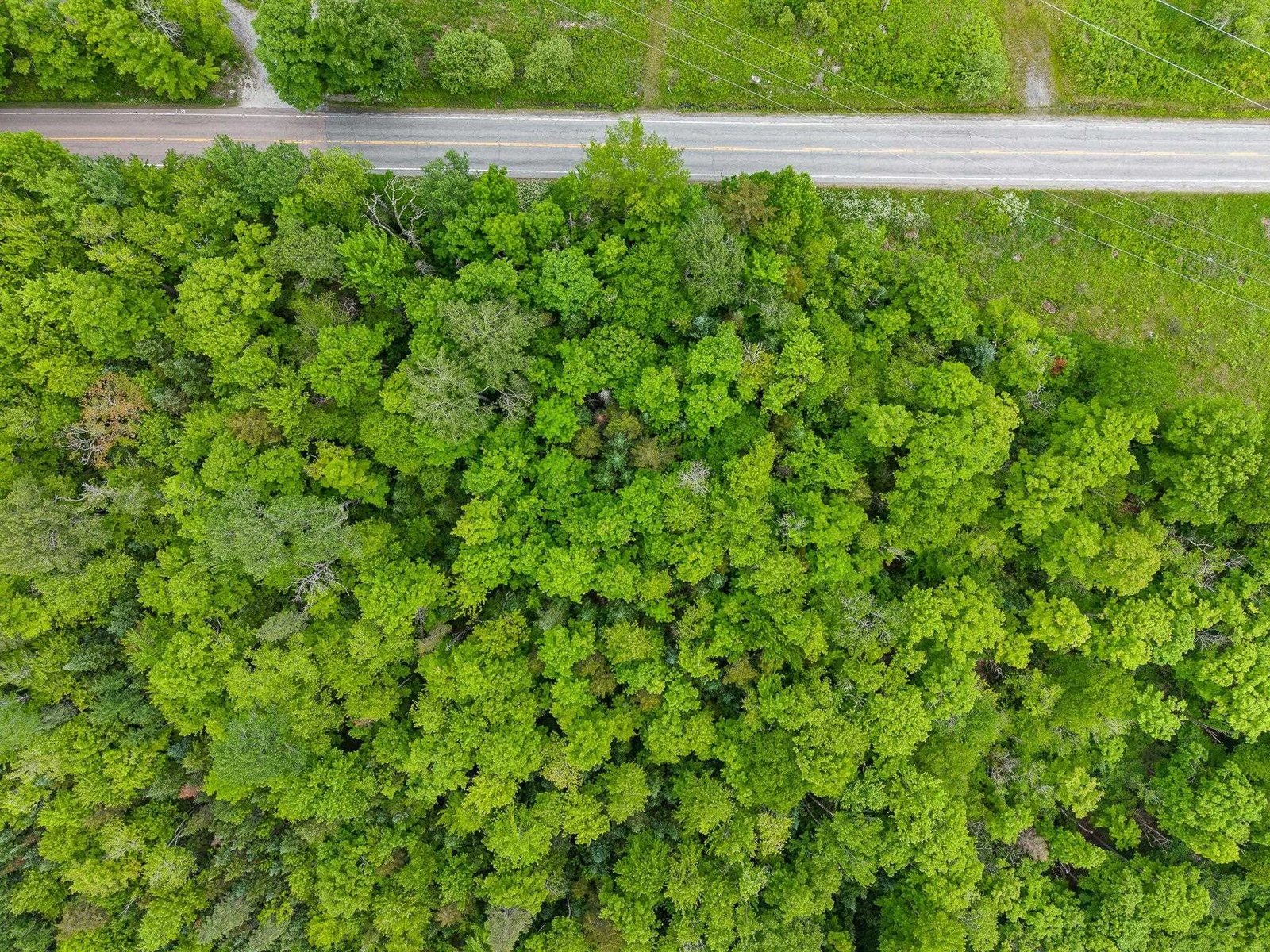  US Route 302