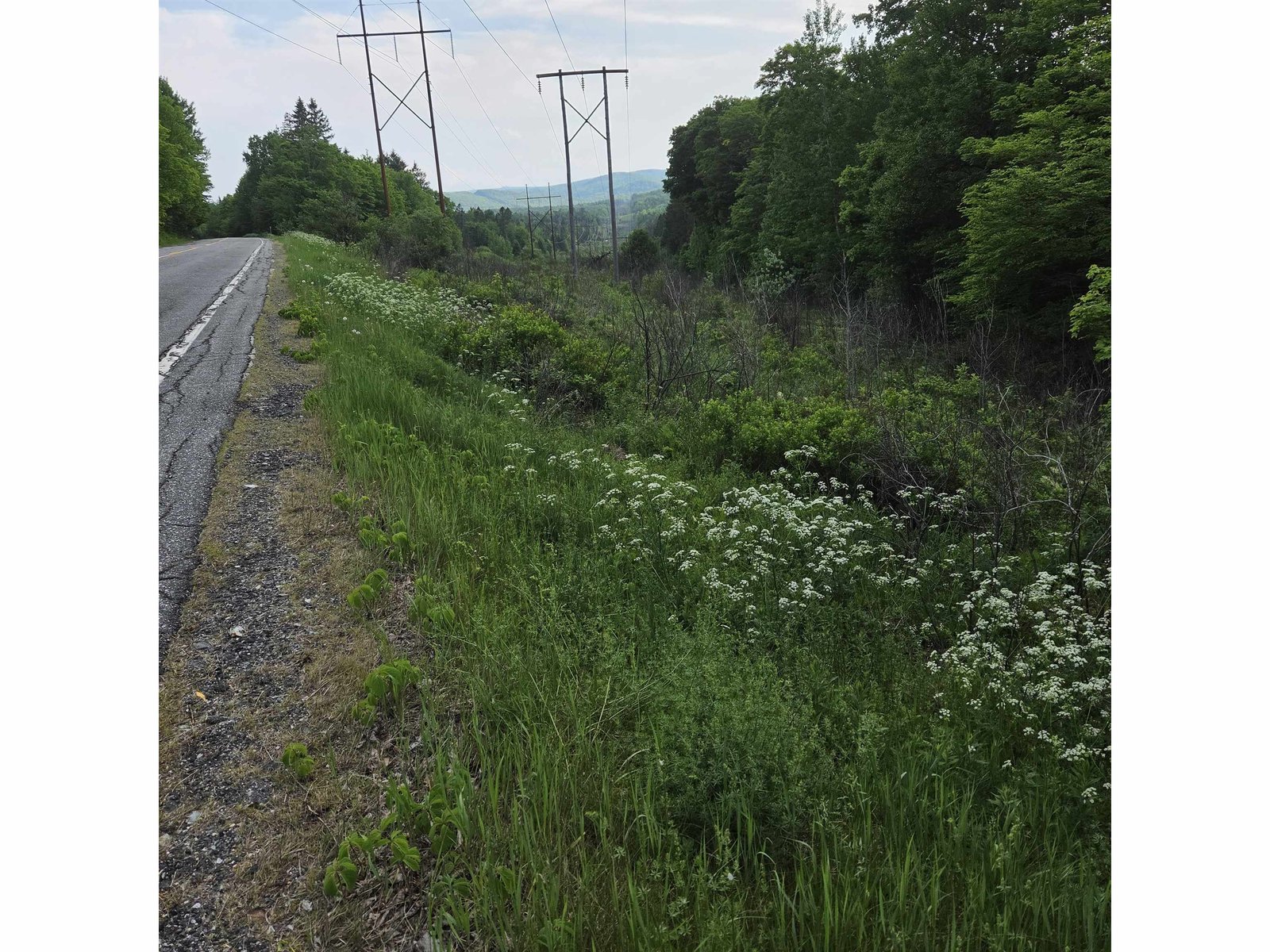  US Route 302