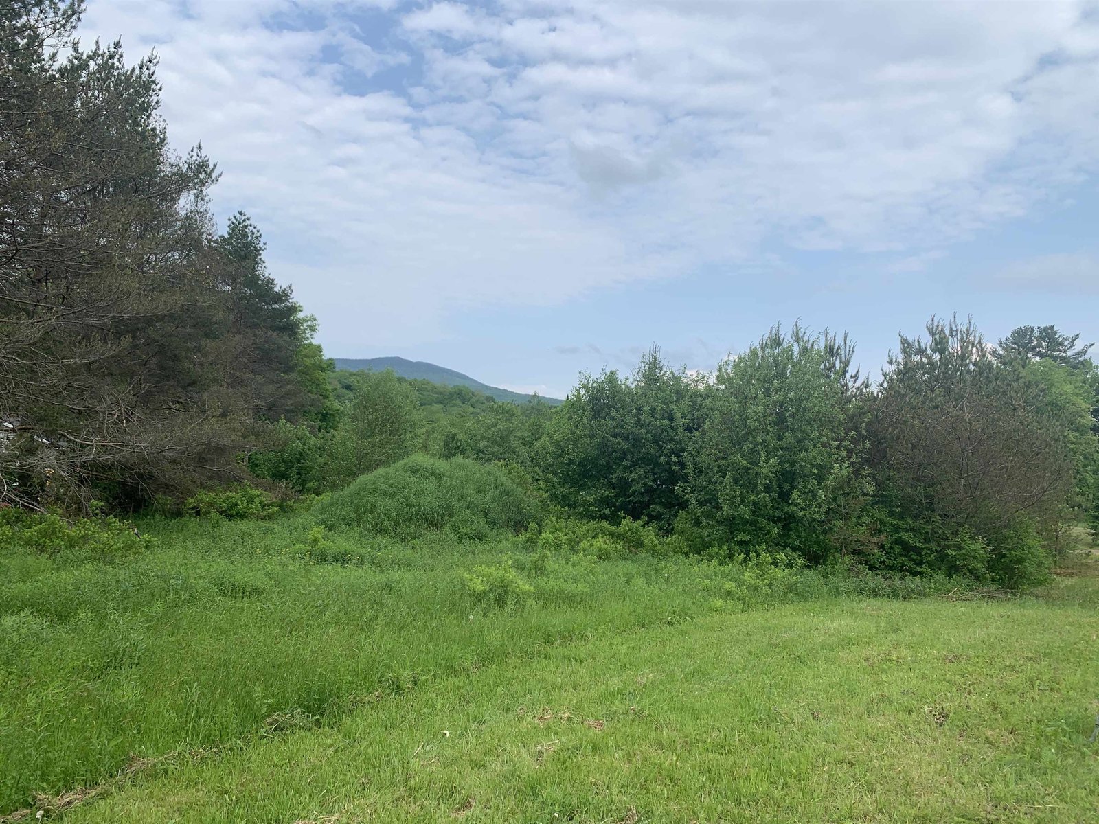  VT Route 118, Belvidere