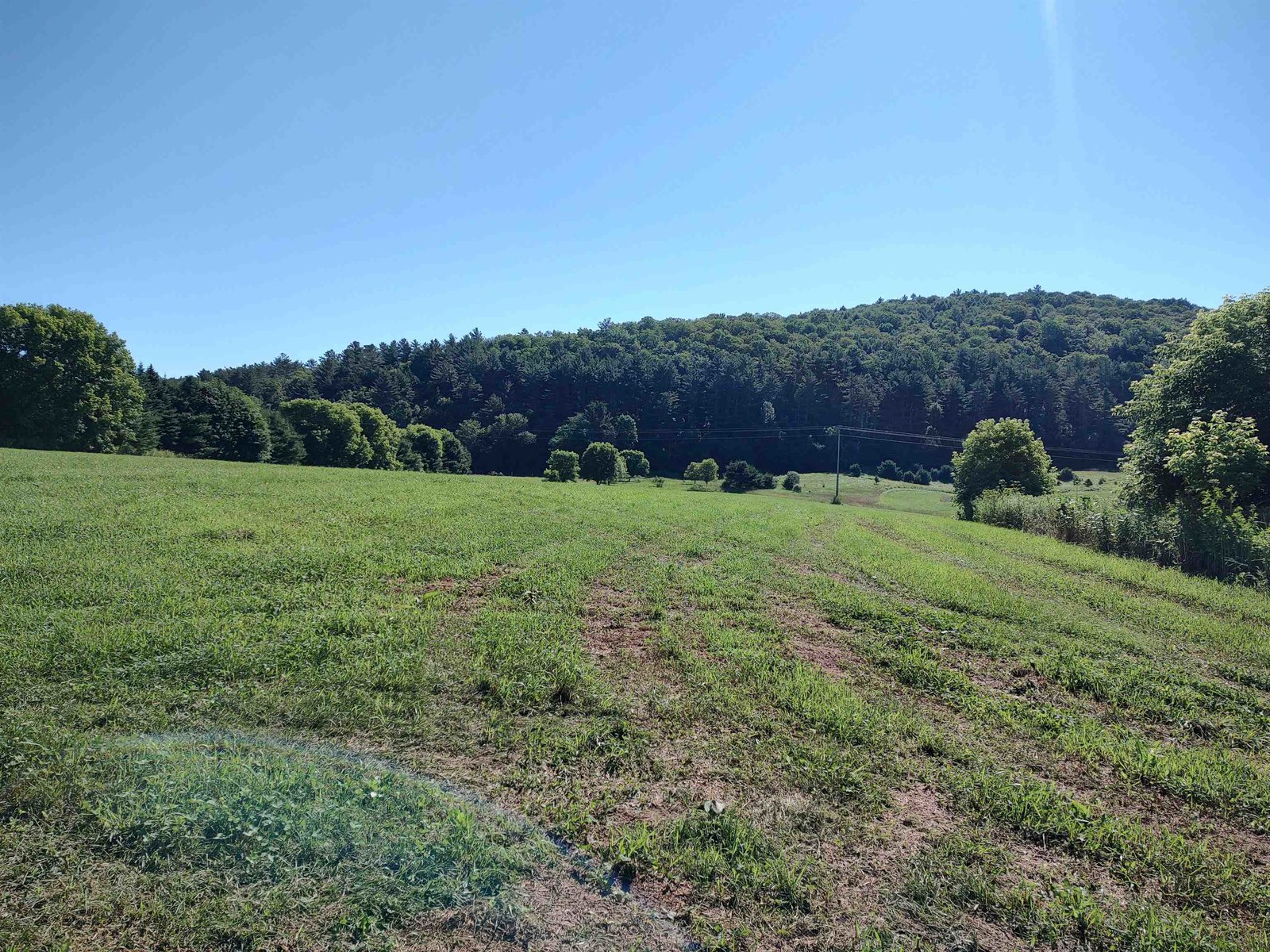 VT Route 14 South