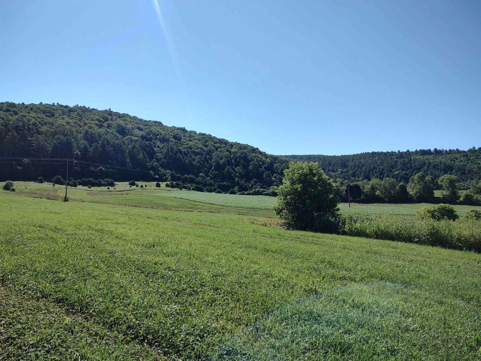  VT Route 14 South