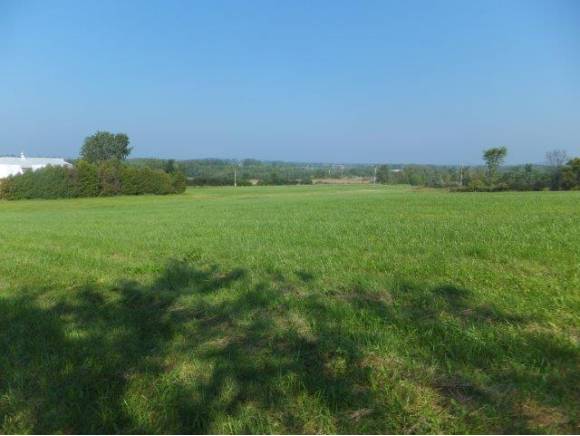  Walker Hill