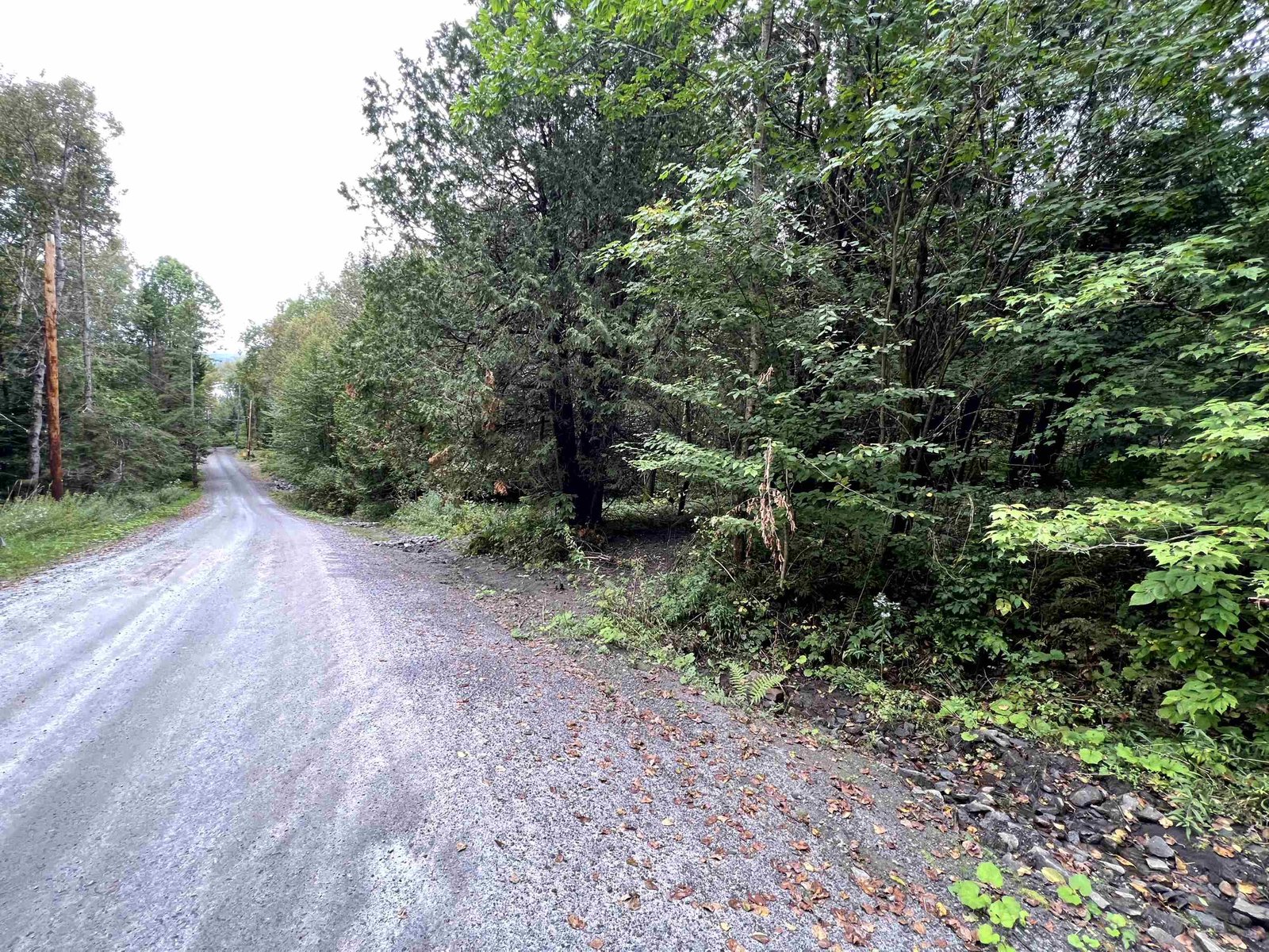- Wayesses Shore Road