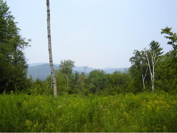  West Pinnacle Ridge