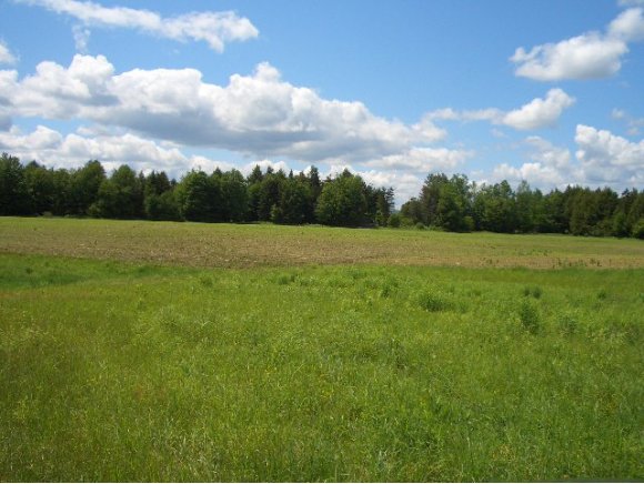  whitcomb island rd