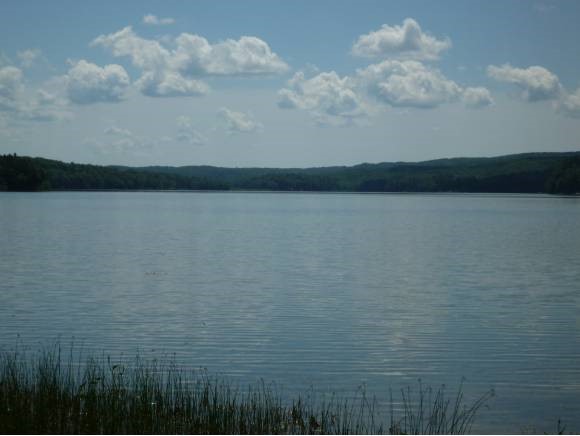  Whites Pond Rd.