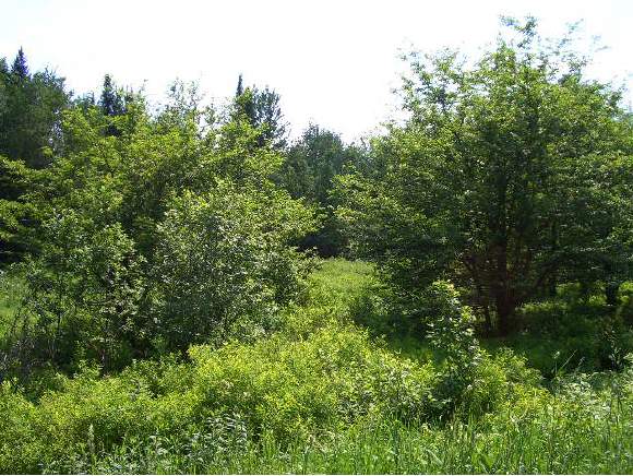  Whittaker Rd