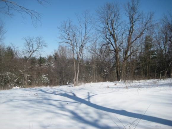  Williams Hill