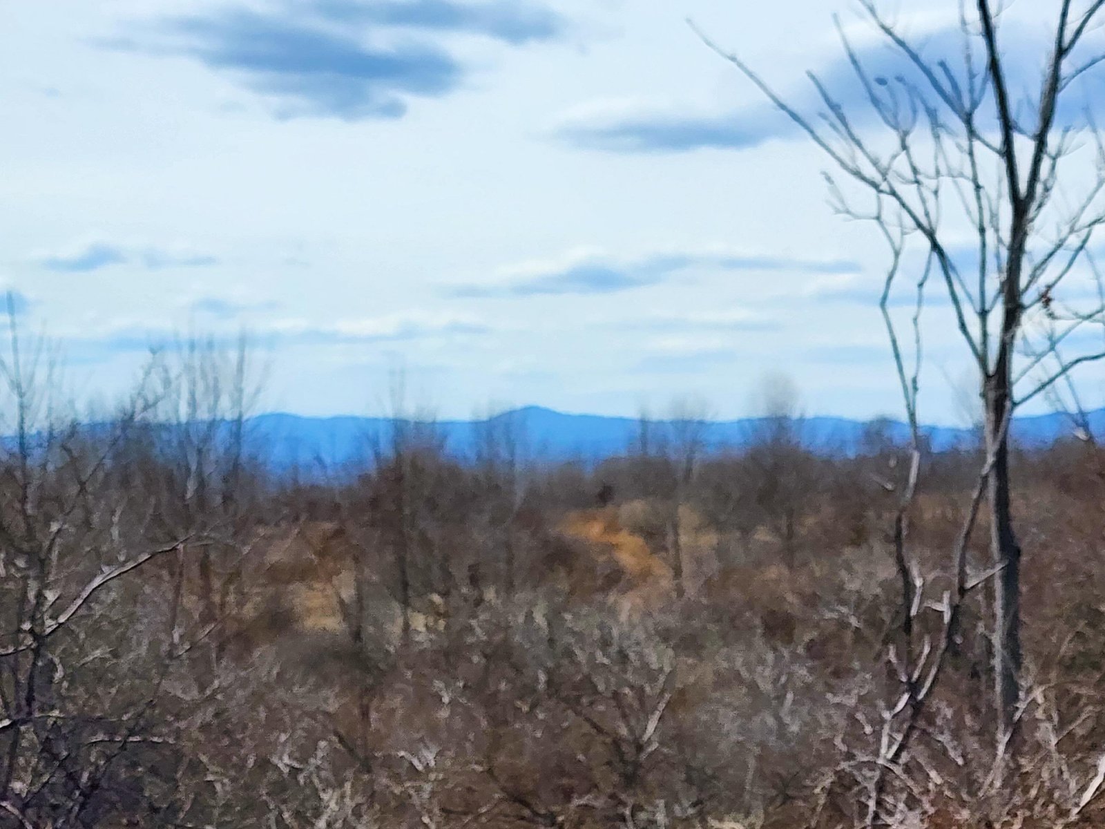 Long range views