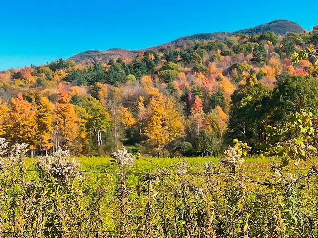 Birdseye Mountain