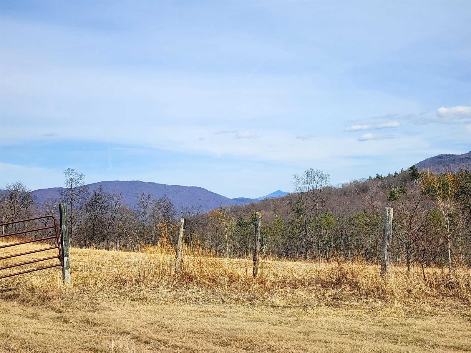 Views across the neighboring lot