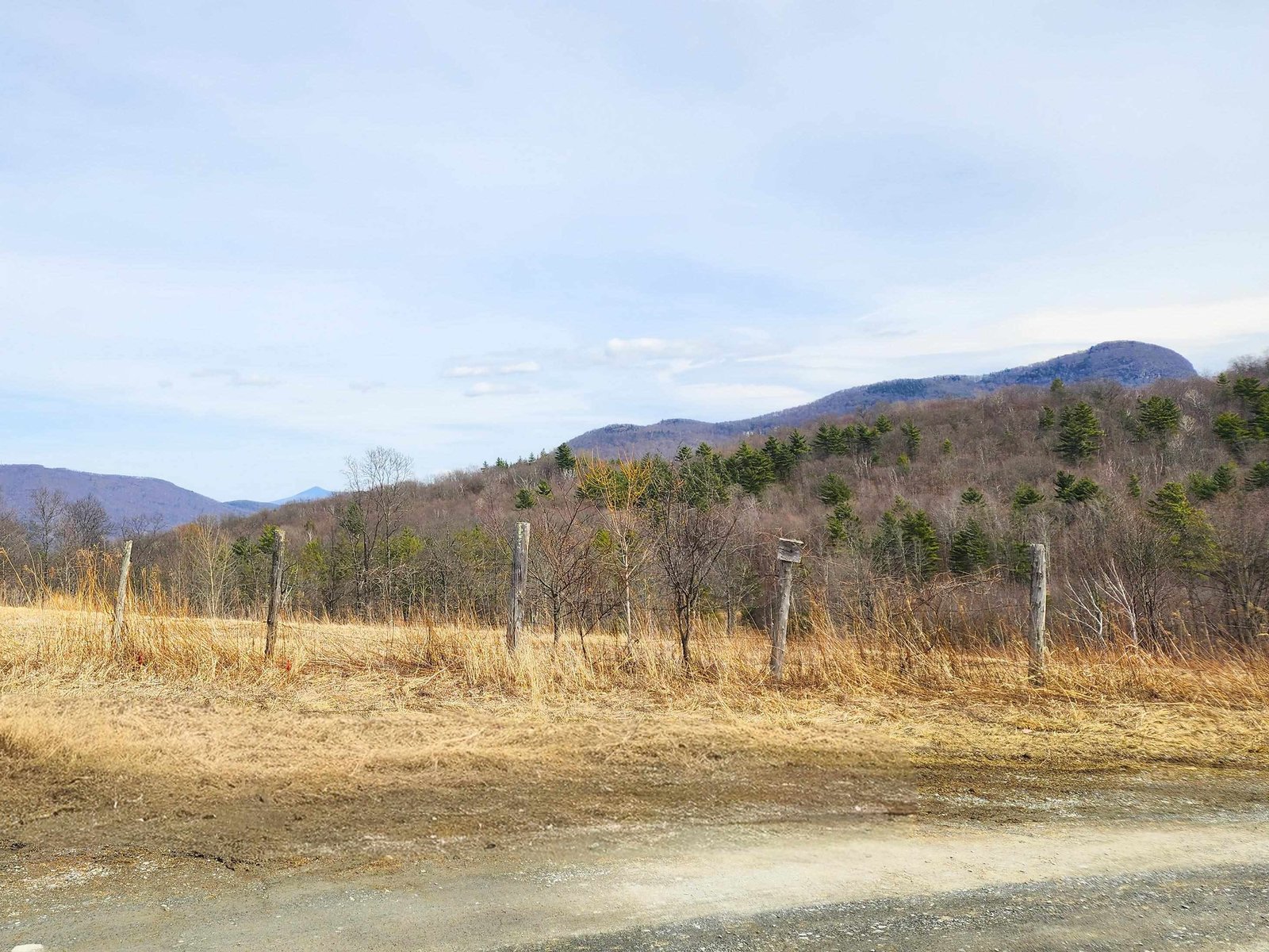 Views across the neighboring lot
