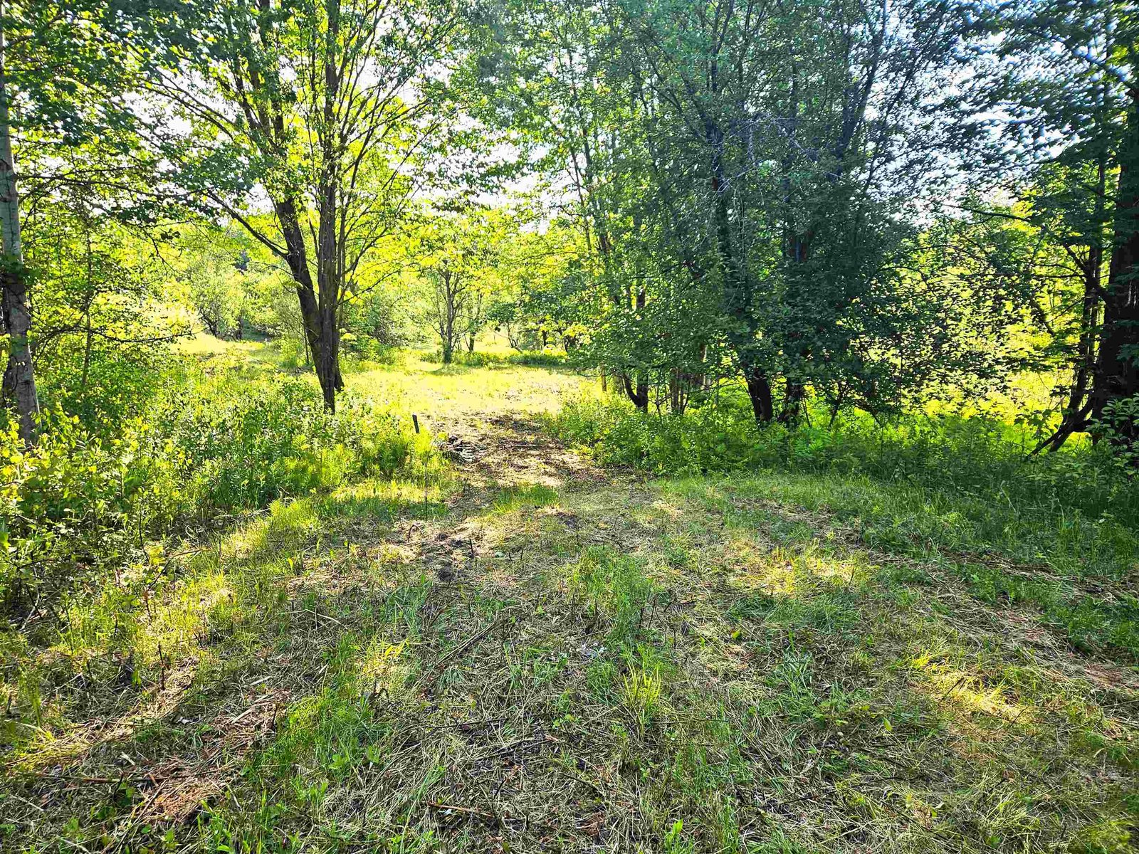 0 Appletree Lane