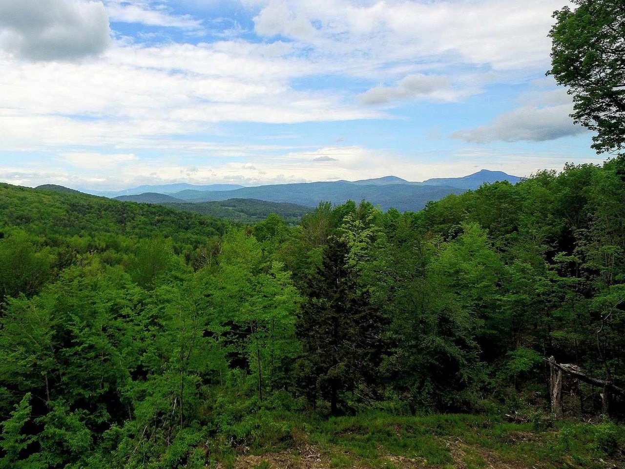 0 Bear Creek Lane