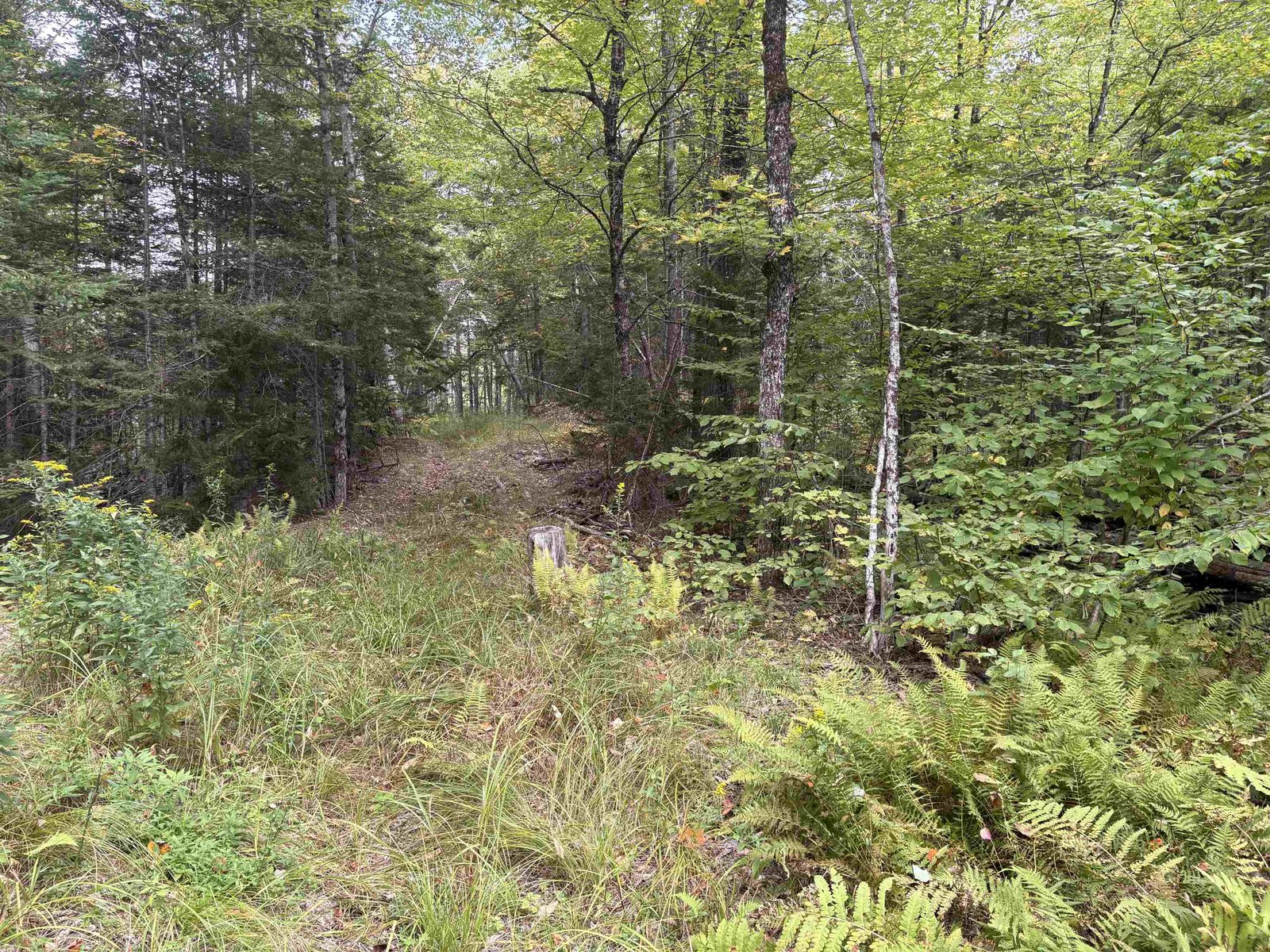 0 Beaver Meadow Road