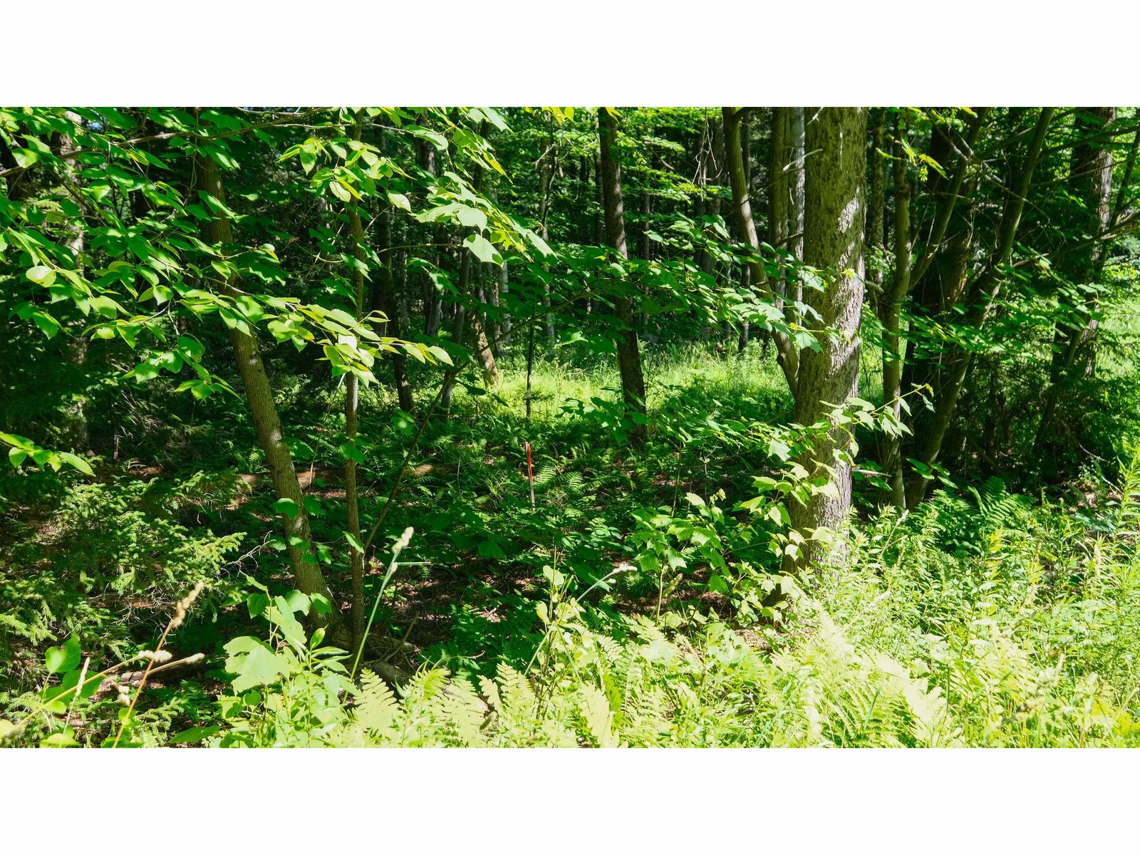 0 Berry Patch Lane