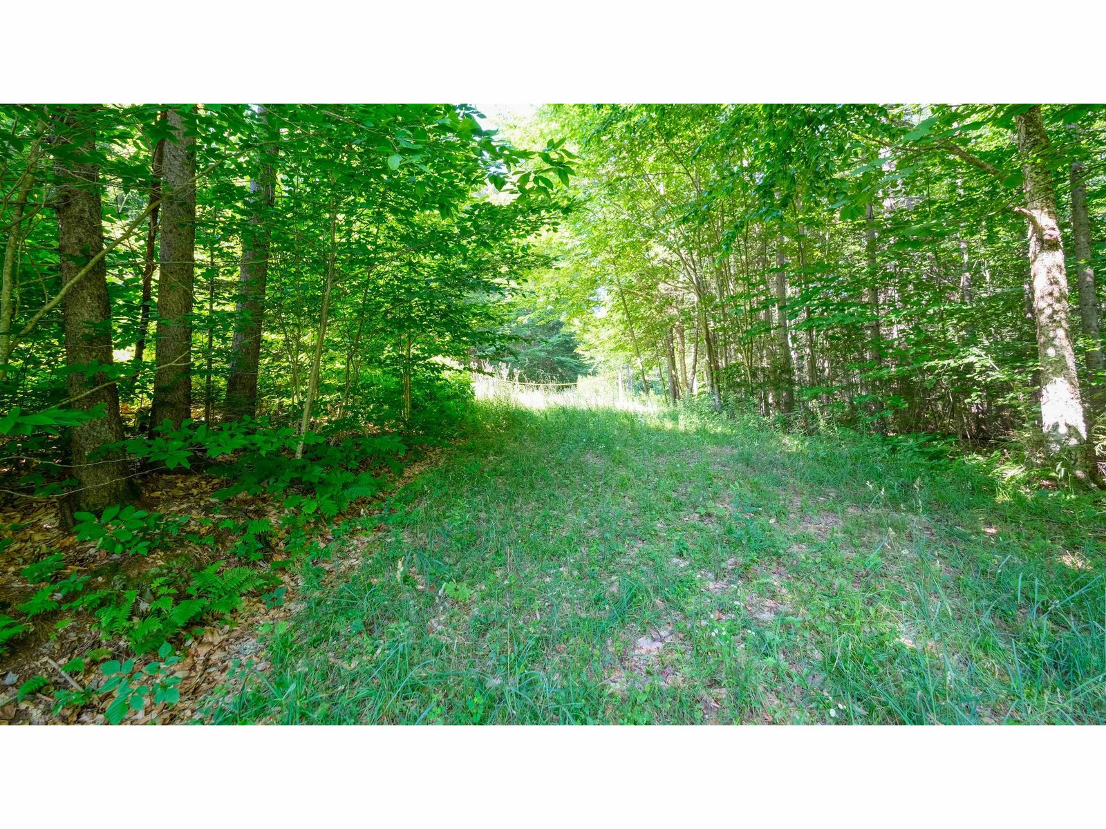 Driveway from field to road