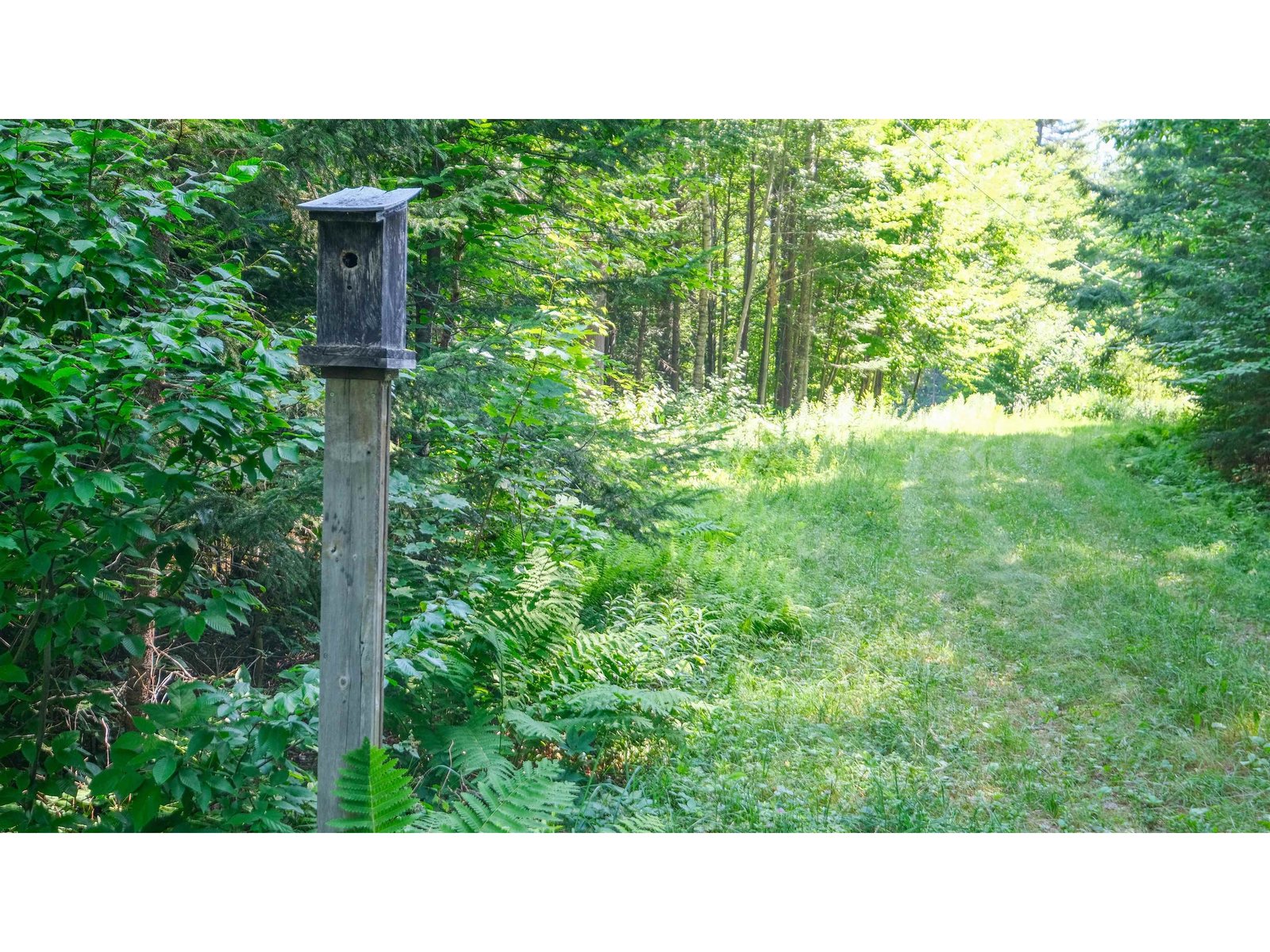 Bird house at start of property