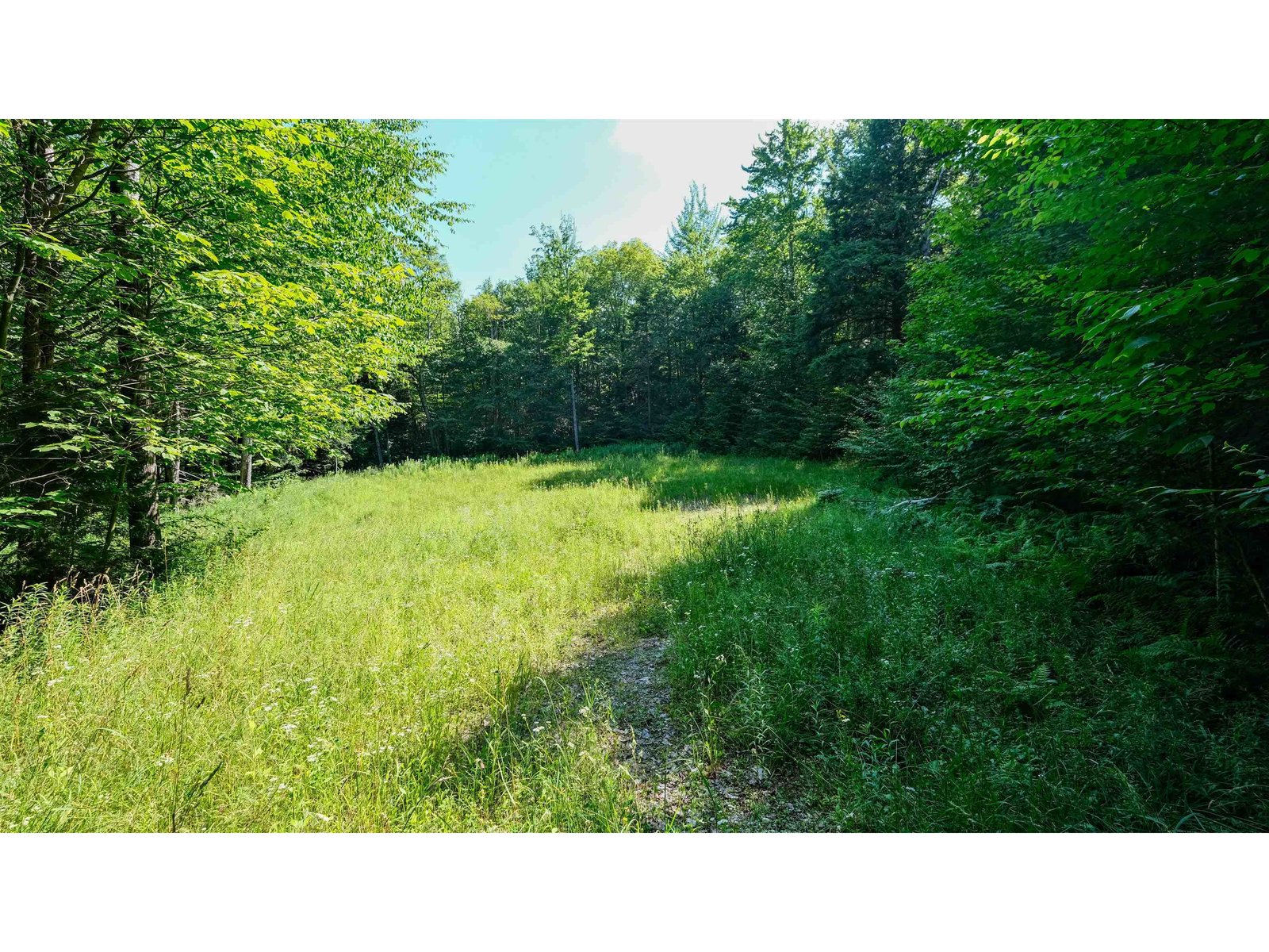 Looking north at homesite