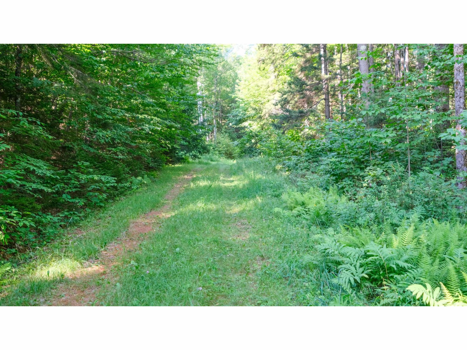 Country road to property