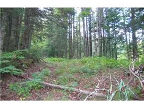 0 Blakeville Road