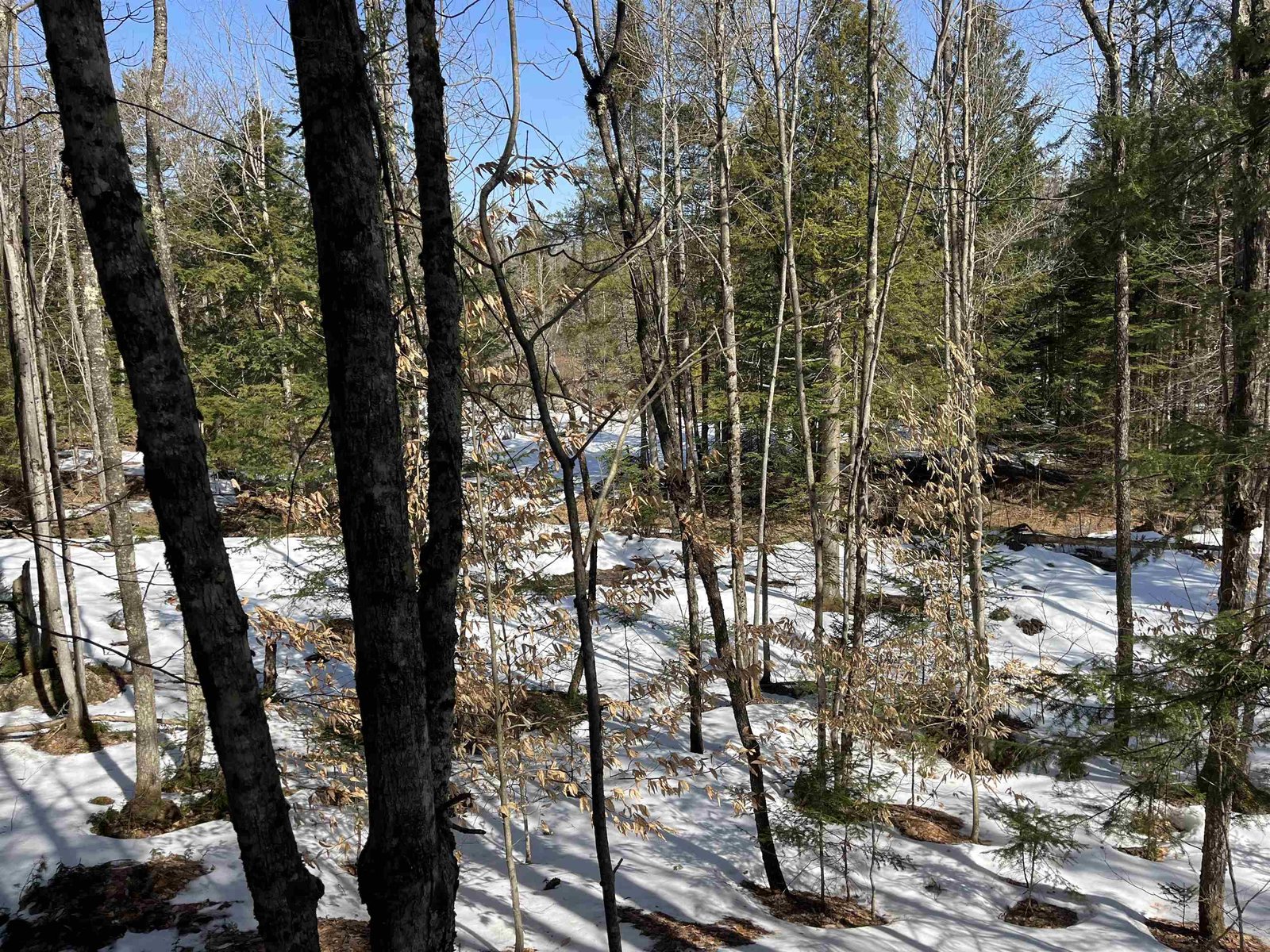 0 Blodgett Road