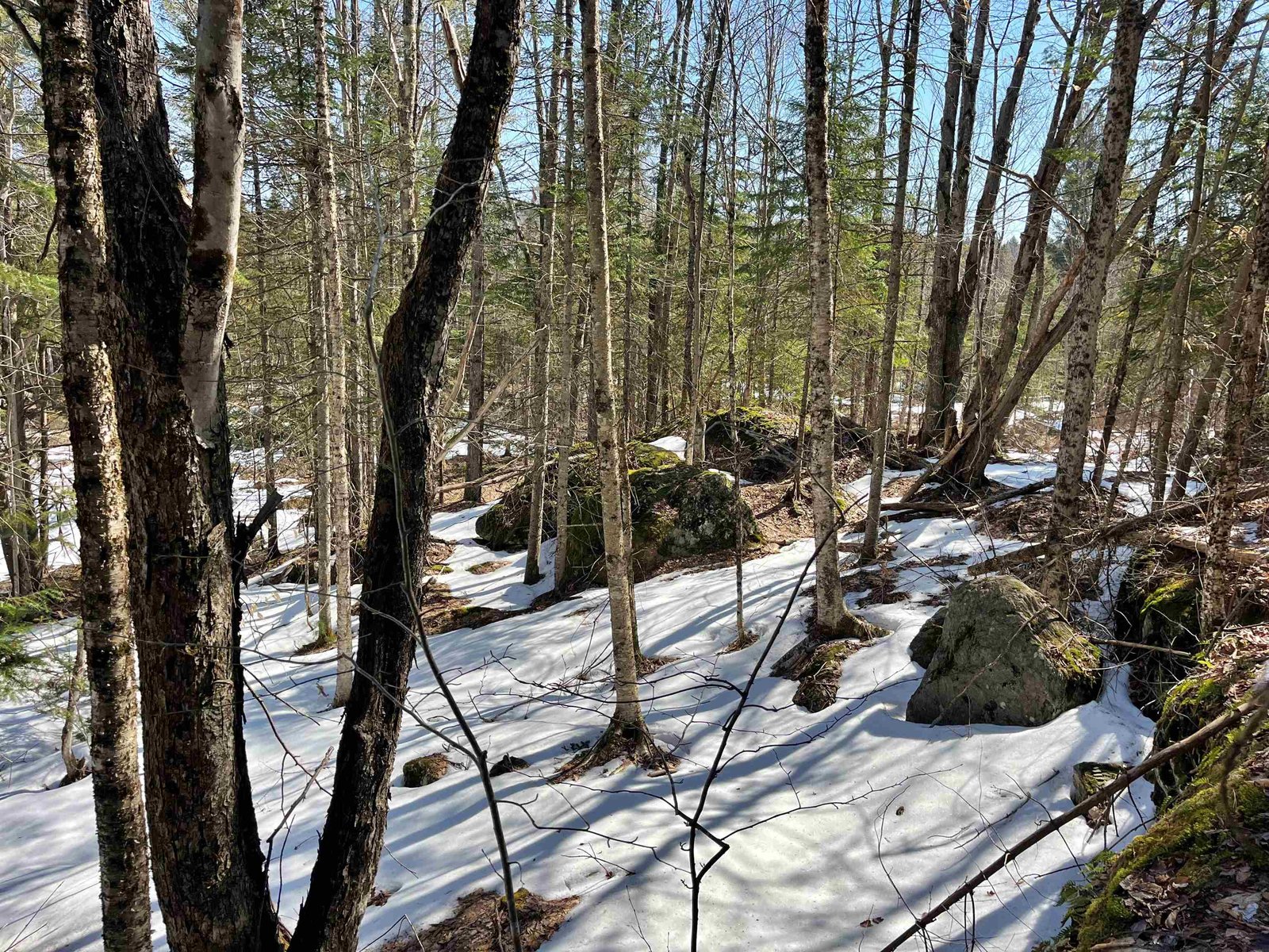 0 Blodgett Road