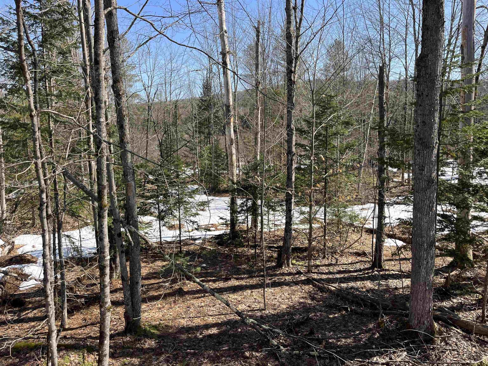 0 Blodgett Road