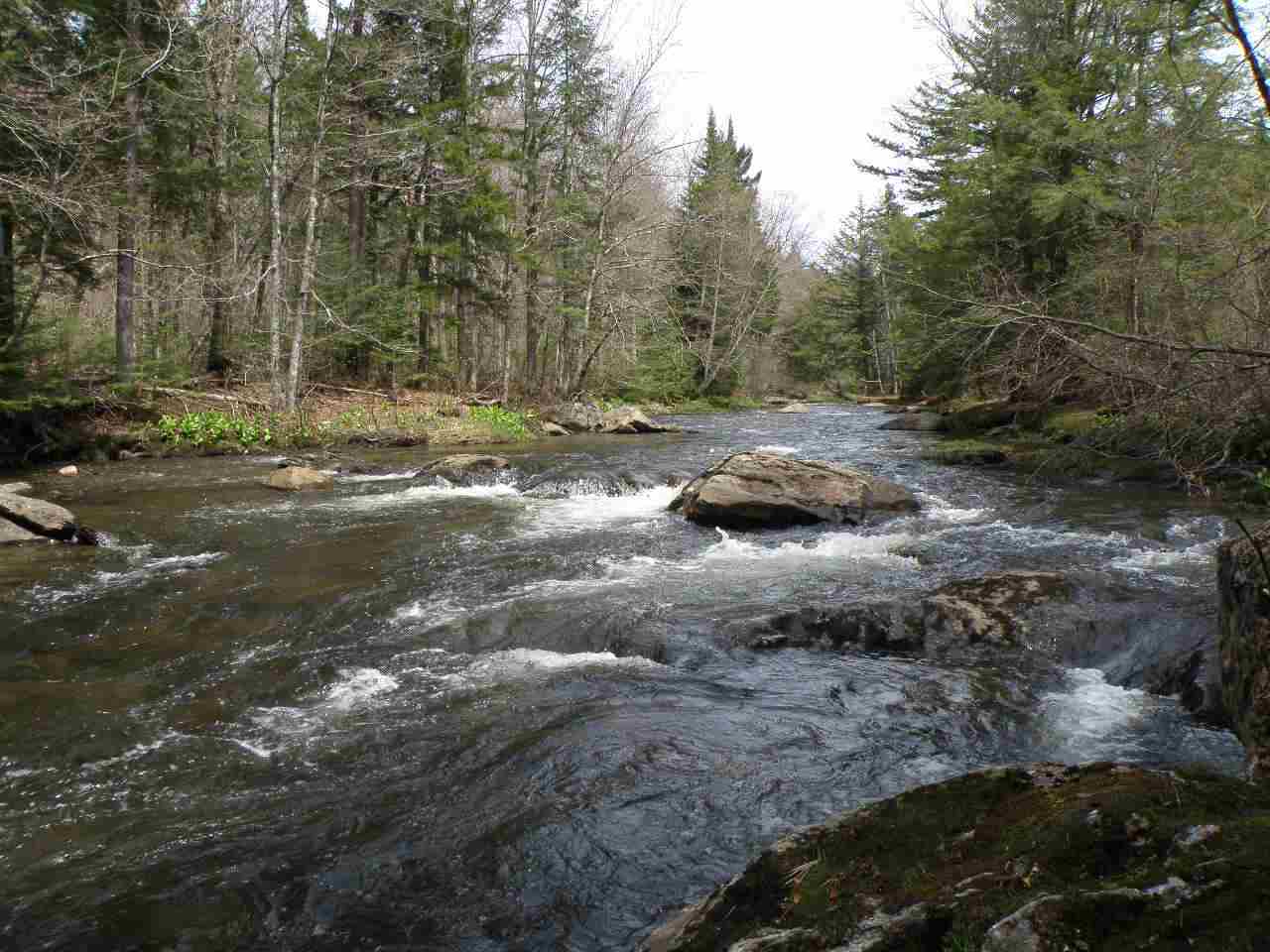 0 Bog Road
