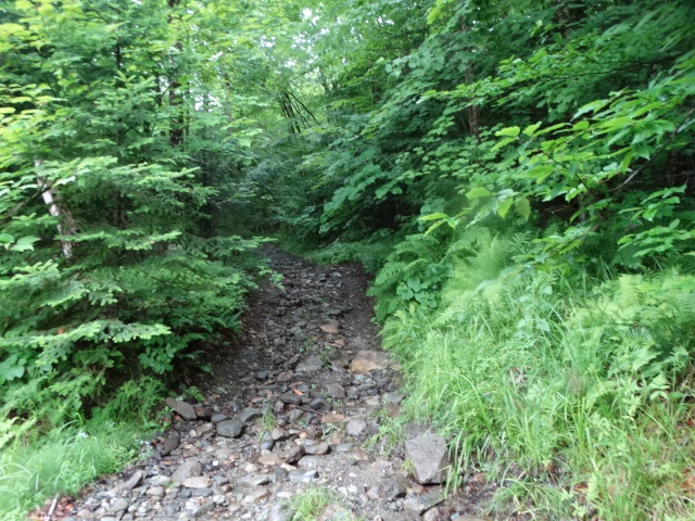 0 Bousquet Road