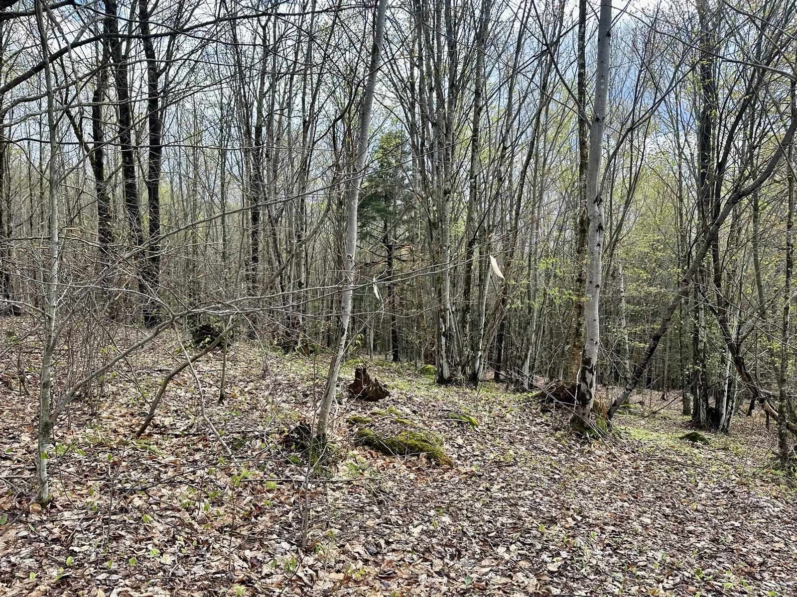 0 Brookview Lane