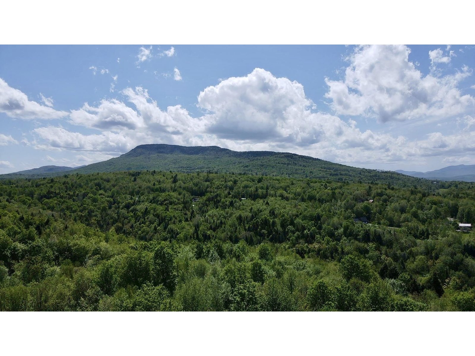 Potential view