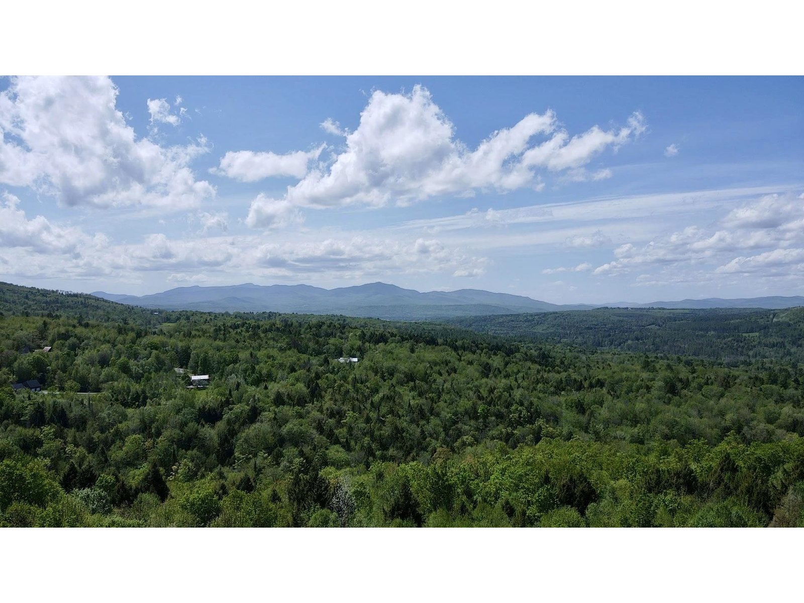 Potential view