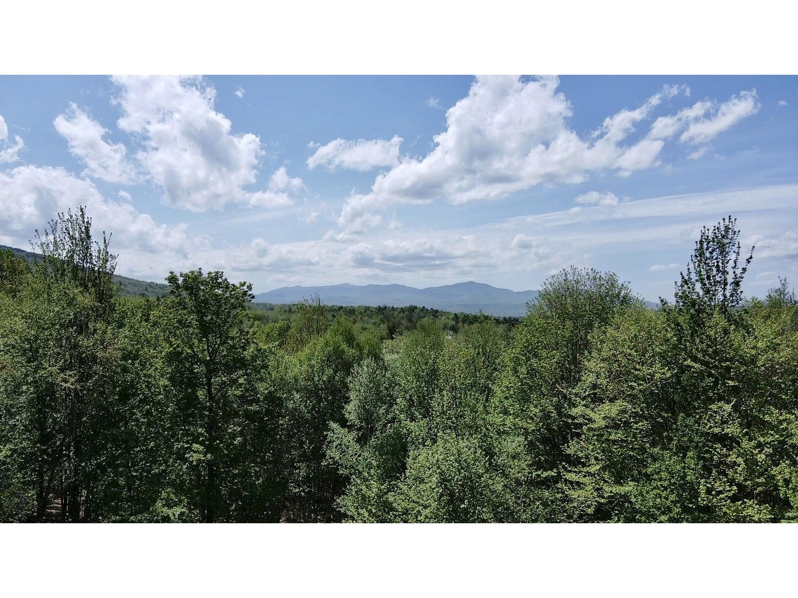 Potential view