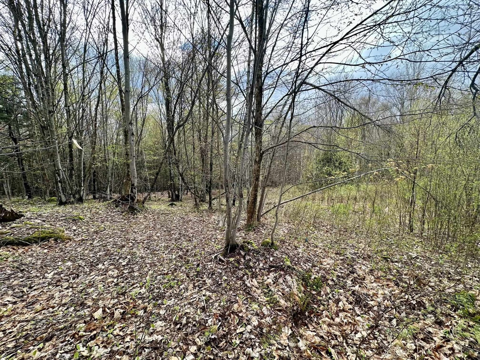 0 Brookview Lane