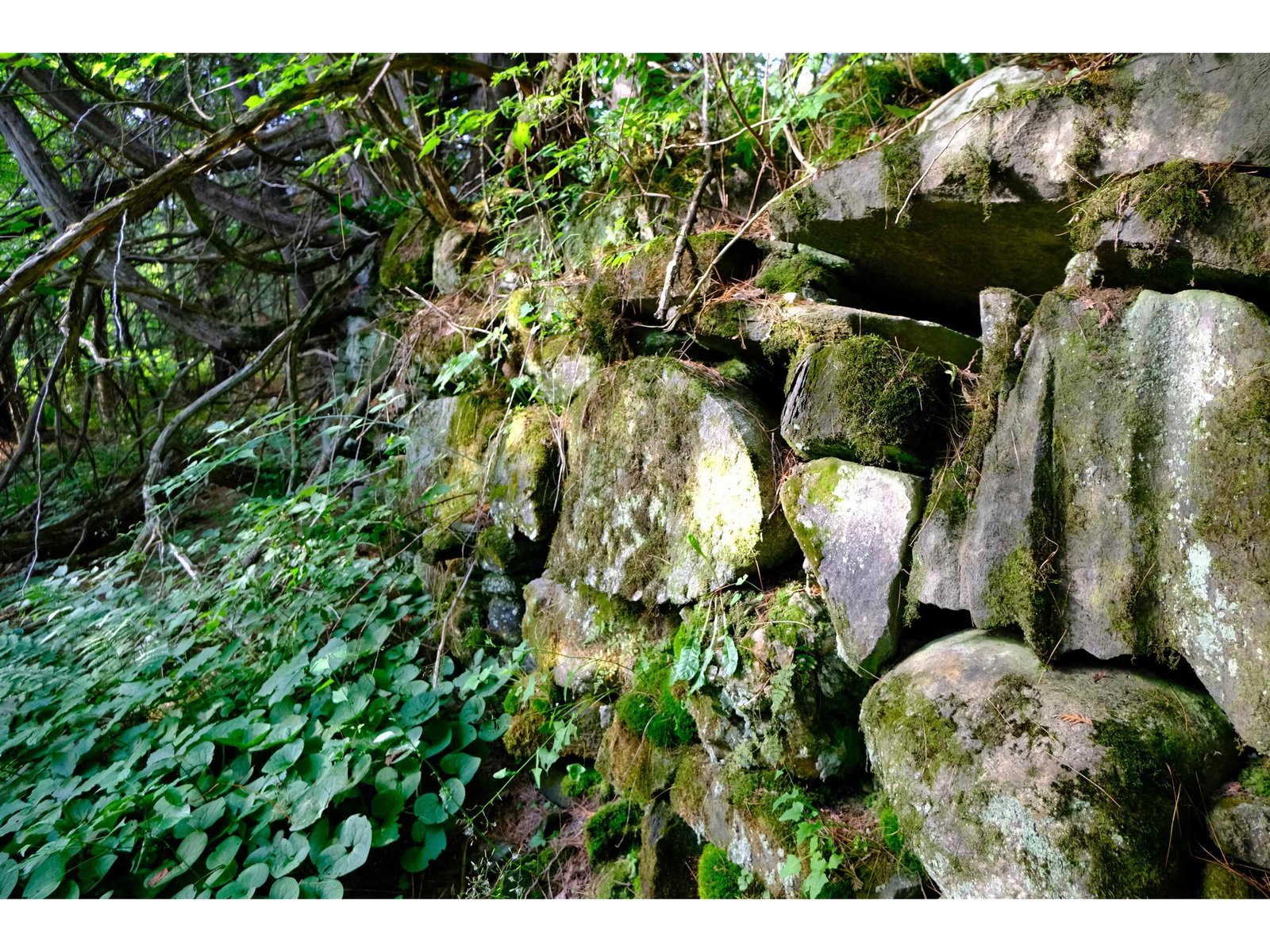 0 Calendar Brook Road